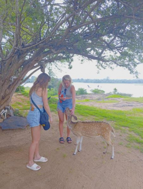 White rose safari home stay
